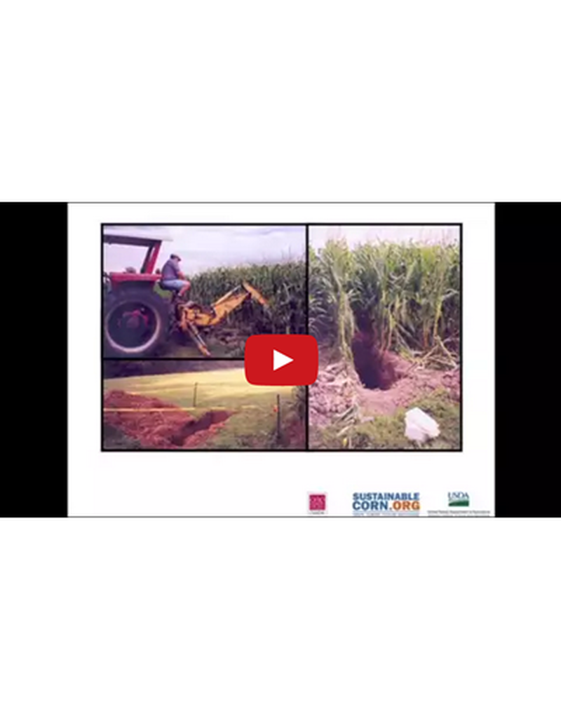No-Tillage Impacts on Soil Carbon, Nitrogen, and Water (Video) image number 0