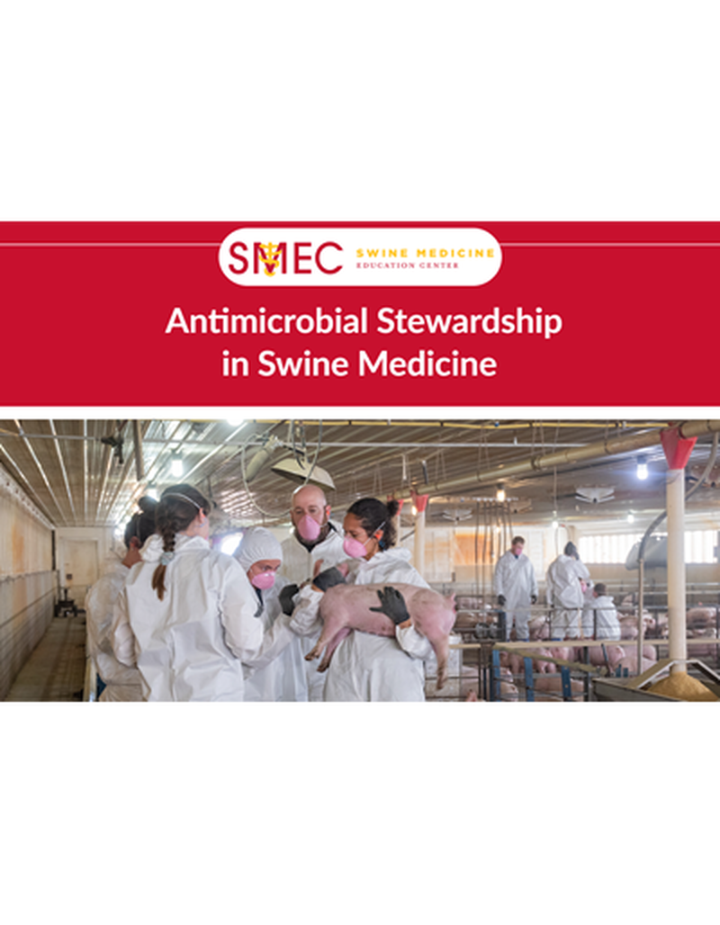 Antimicrobial Stewardship in Swine Medicine image number 0