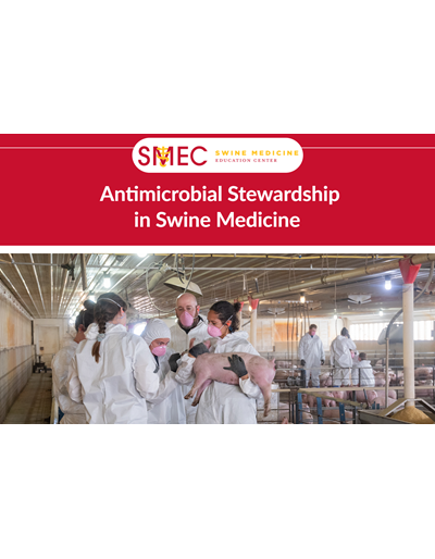 Antimicrobial Stewardship in Swine Medicine