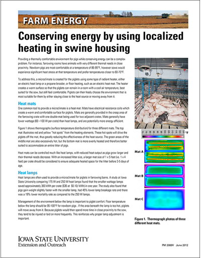 Conserving energy by using localized heating in swine housing - Farm Energy