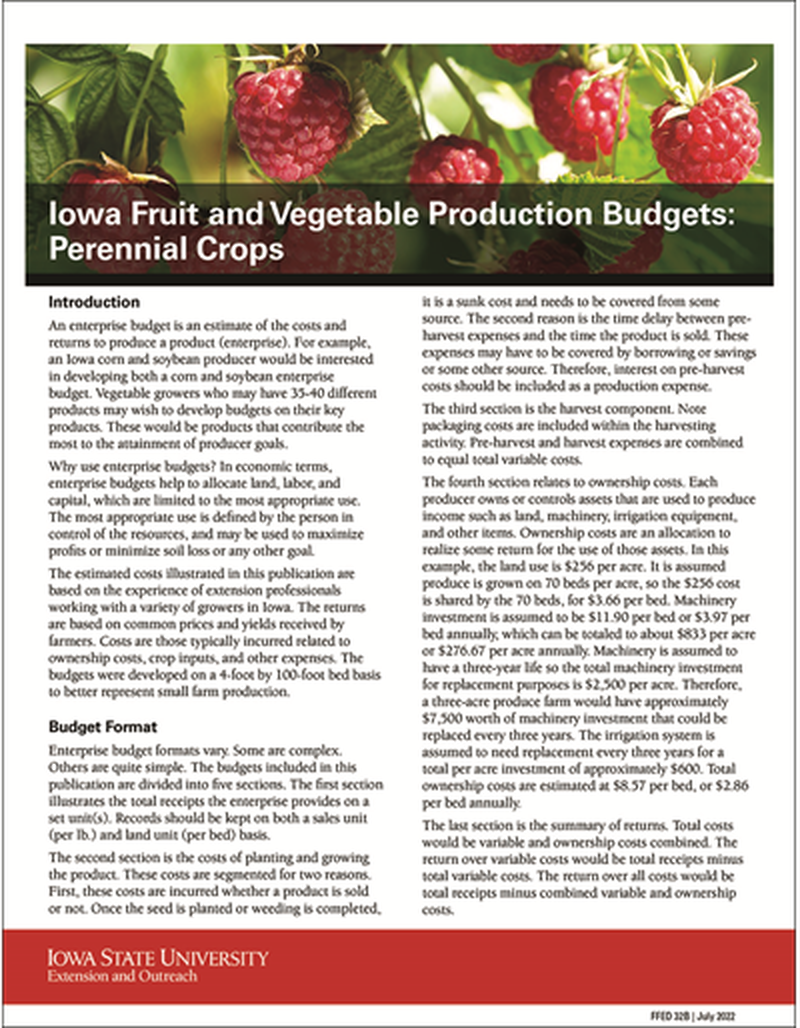 Iowa Fruit and Vegetable Production Budgets: Perennial Crops image number 0