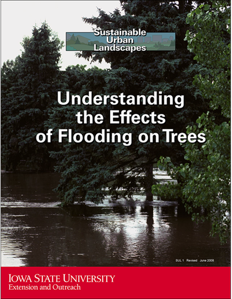 Understanding the Effects of Flooding on Trees -- Sustainable Urban Landscapes image number 0