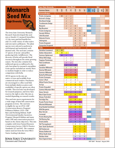 Monarch Seed Mix High Diversity