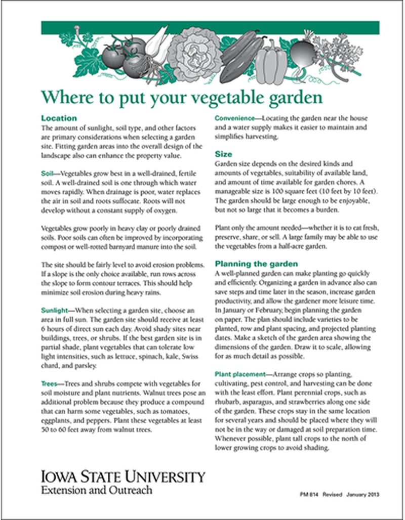 Where to Put Your Vegetable Garden image number 0