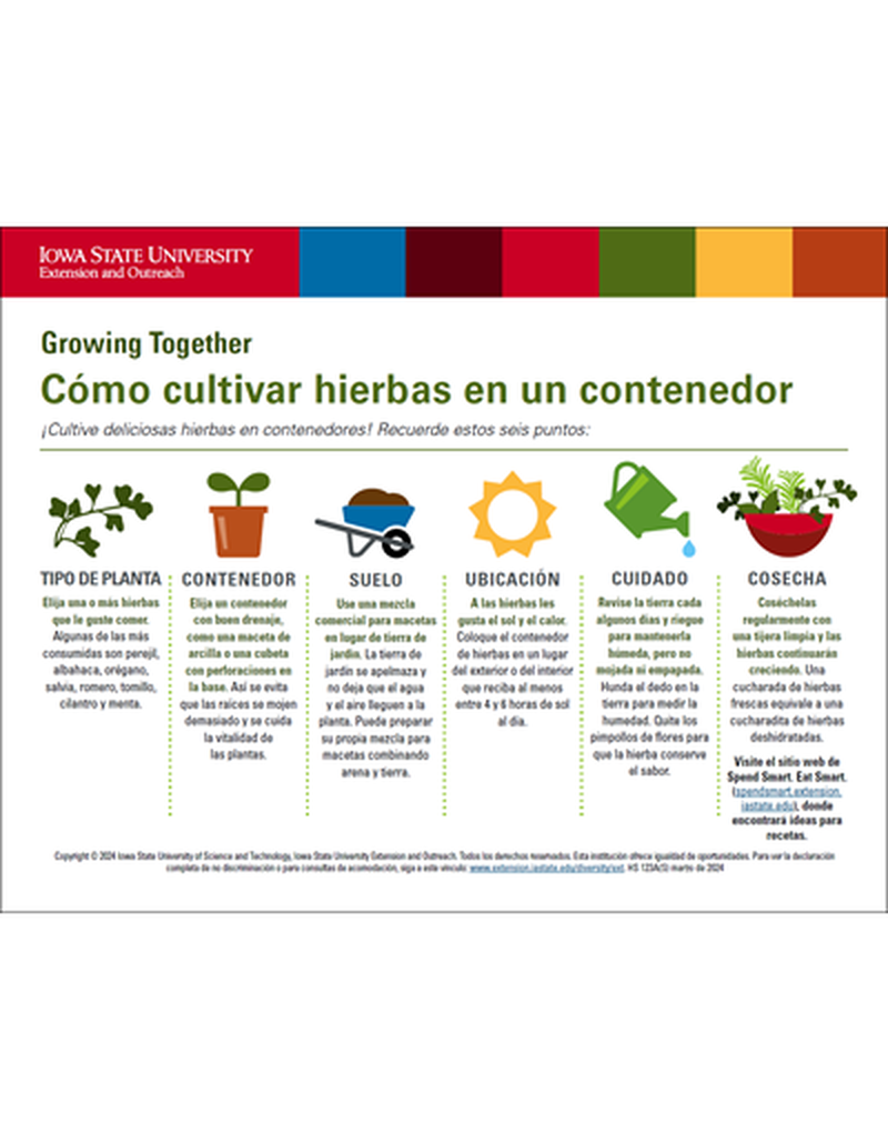 Growing Herbs in a Container image number 3