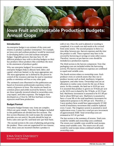 Iowa Fruit and Vegetable Production Budgets: Annual Crops