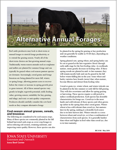 Alternative Annual Forages