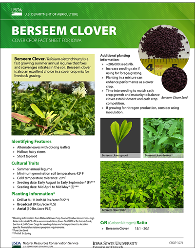 Berseem Clover: Cover Crop Fact Sheet for Iowa