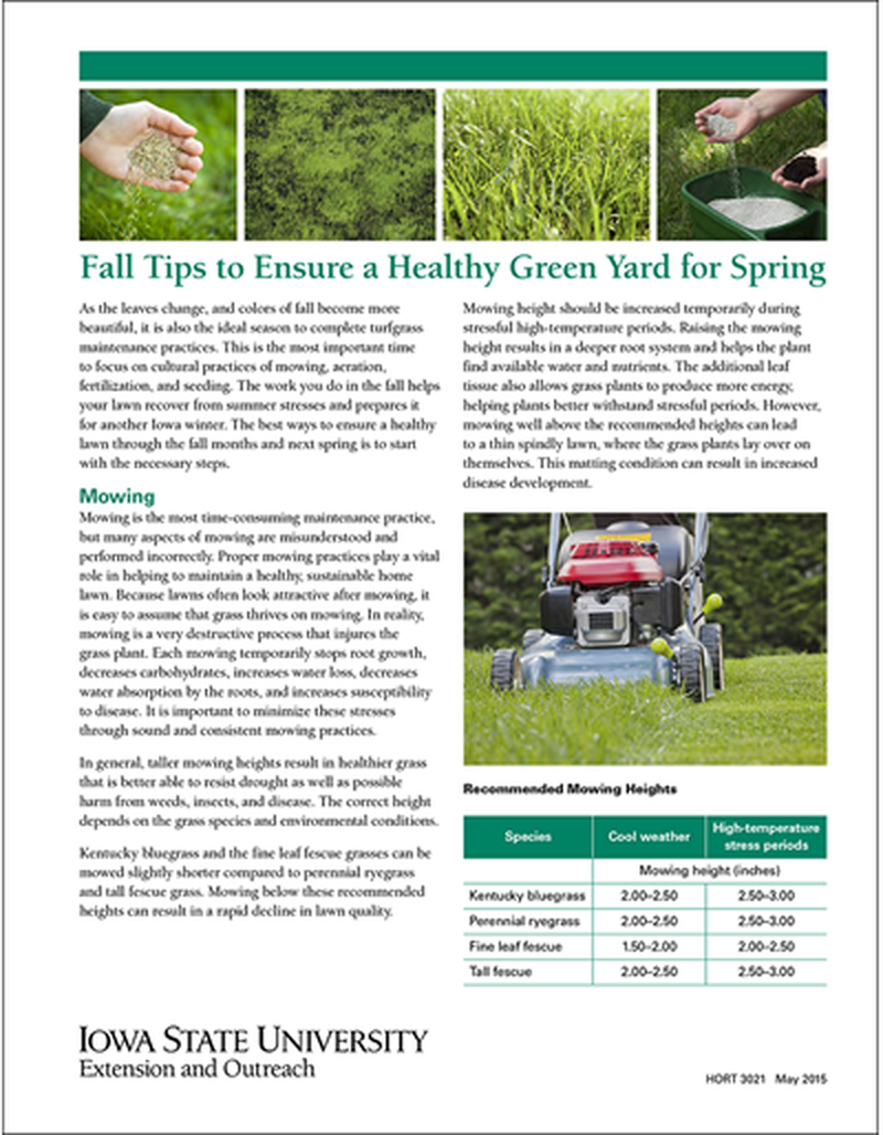 Fall Tips to Ensure a Healthy Green Yard in the Spring image number 0