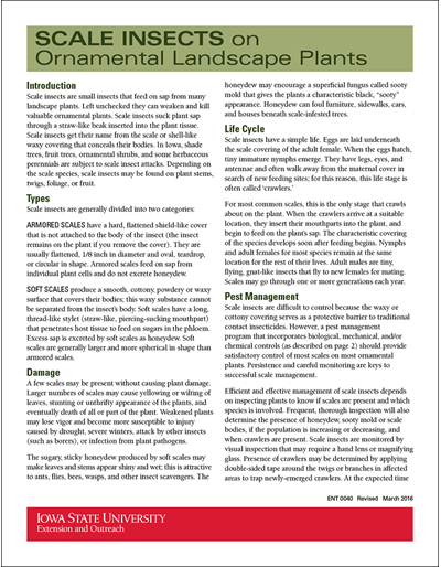 Scale Insects on Ornamental Landscape Plants