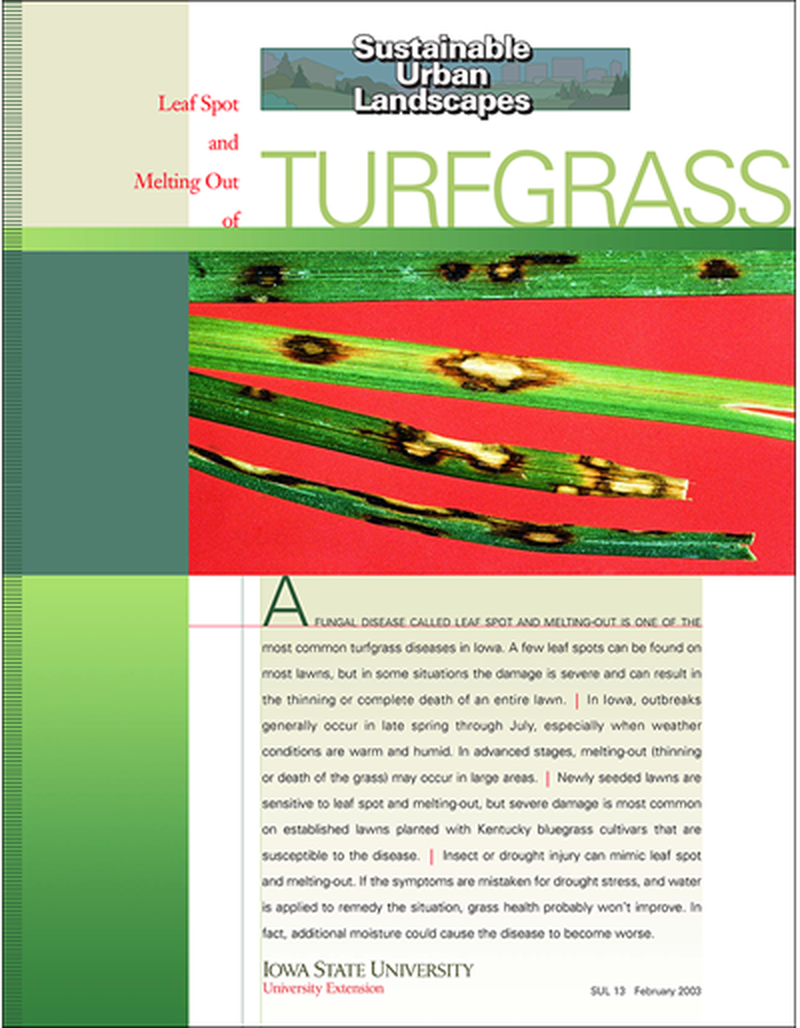 Leaf Spot and Melting Out of Turfgrass -- Sustainable Urban Landscapes image number 0