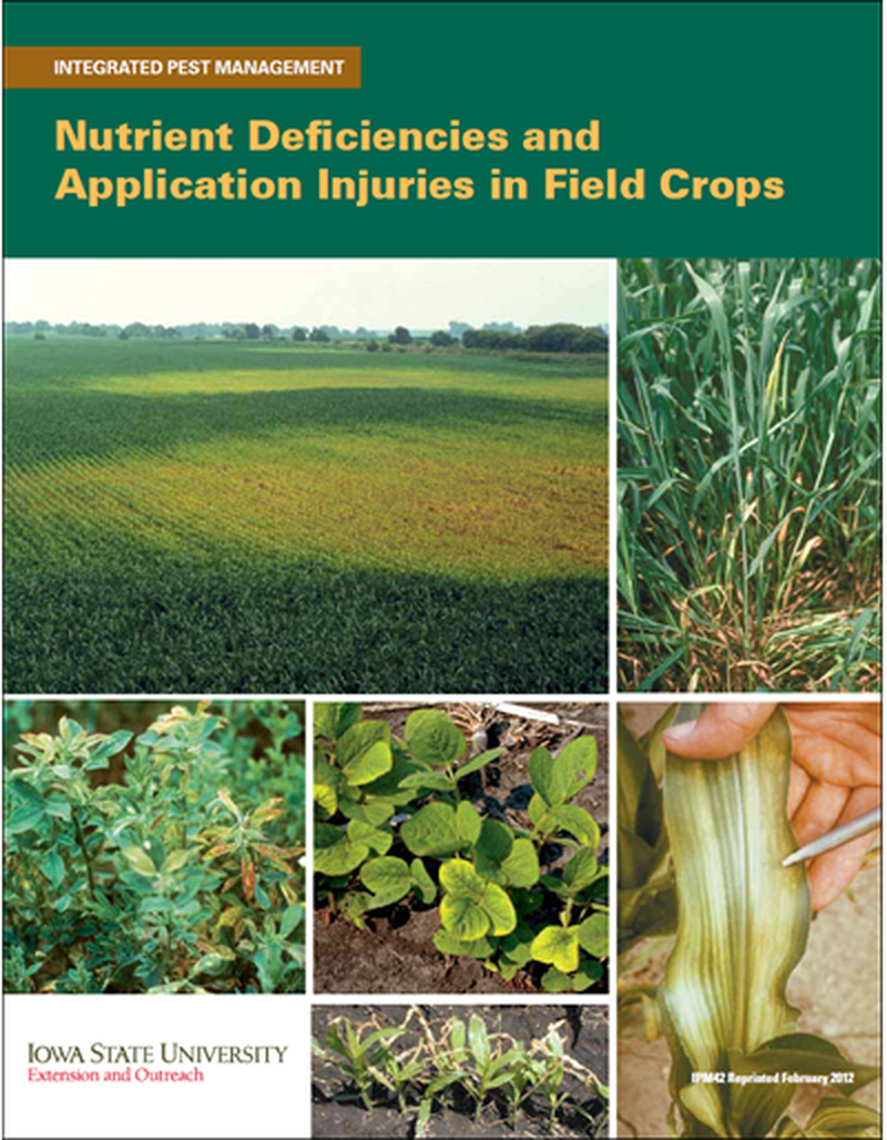 Nutrient Deficiencies and Application Injuries in Field Crops -- Integrated Pest Management image number 0