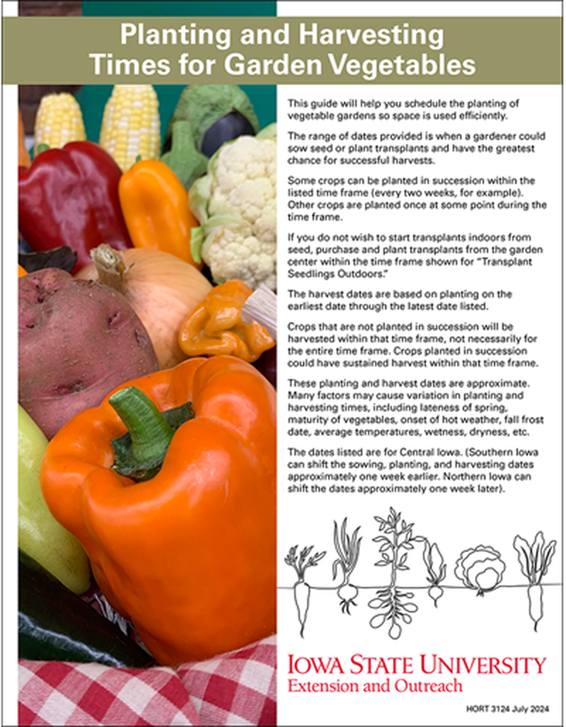 Planting and Harvesting Times for Garden Vegetables image number 0