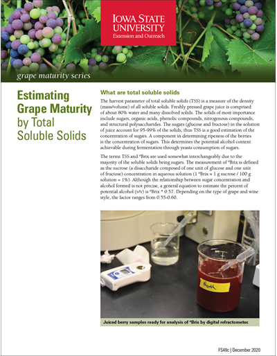Estimating Grape Maturity by Total Soluble Solids - Grape Maturity Series