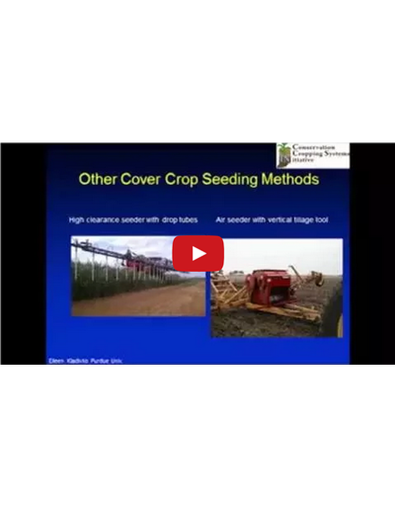 Cover Crop Selection and Management Part 3 (Video) image number 0