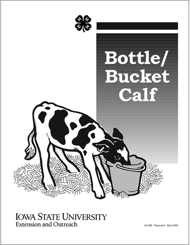 Record Keeping Worksheet Bottle Bucket Calf image number 0