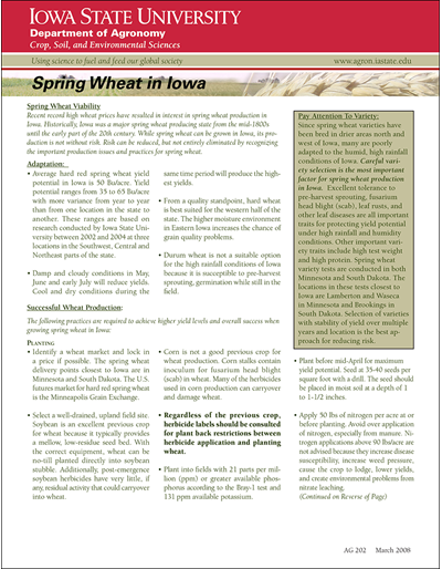 Spring Wheat in Iowa