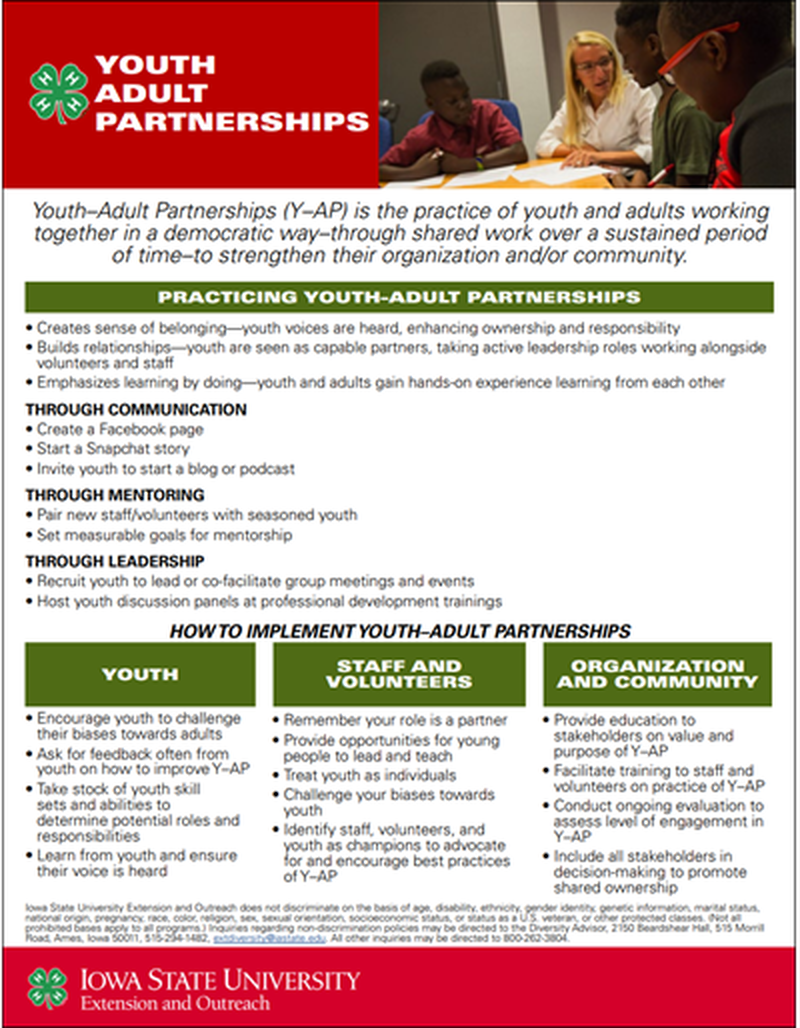Youth-Adult Partnerships image number 0