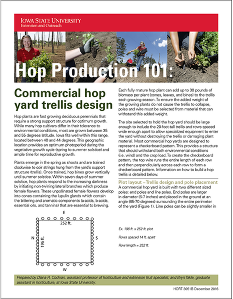 Hop Production 101: Commercial Hop Yard Trellis Design image number 0