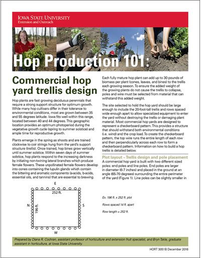 Hop Production 101: Commercial Hop Yard Trellis Design