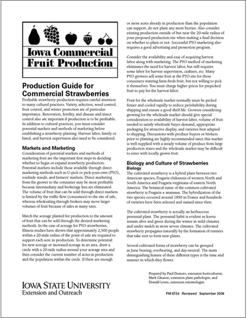 Production Guide for Commercial Strawberries - Iowa Commercial Fruit Production Series image number 0
