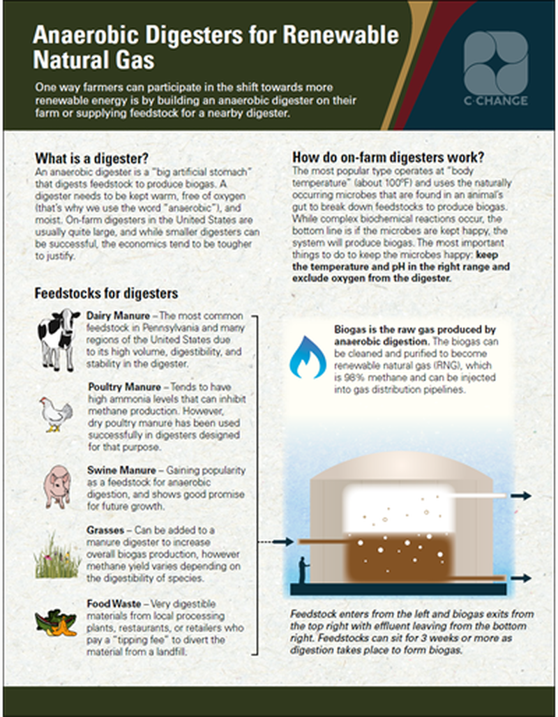 Anaerobic Digesters for Renewable Natural Gas image number 0