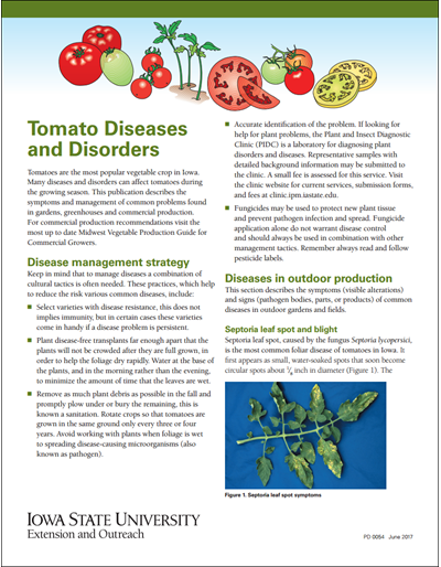 Tomato Diseases and Disorders