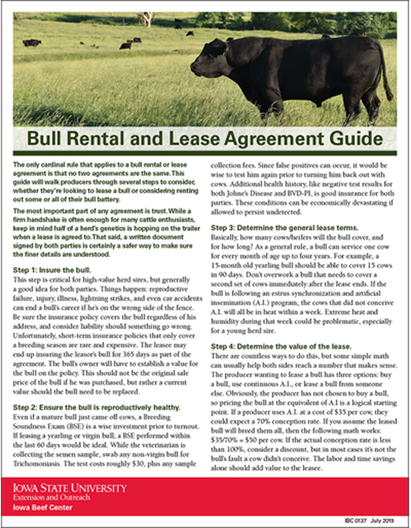 Bull Rental and Lease Agreement Guide image number 0