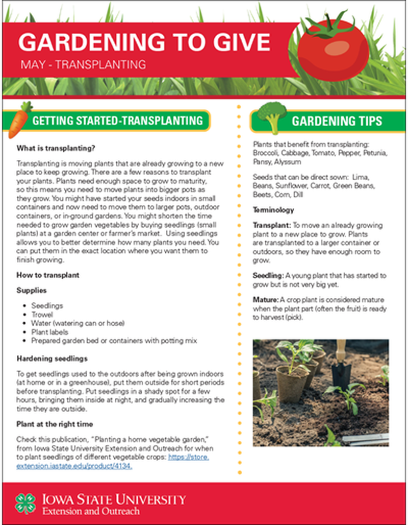 May Transplanting -- Gardening to Give image number 0