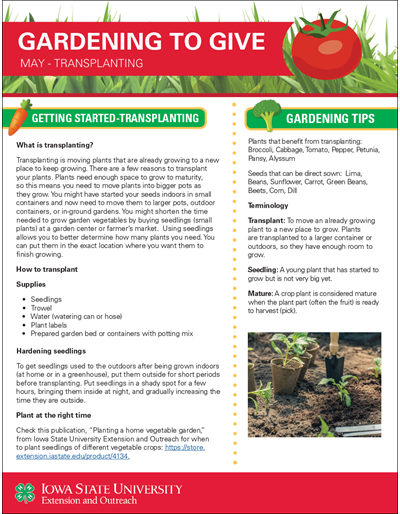 May Transplanting -- Gardening to Give