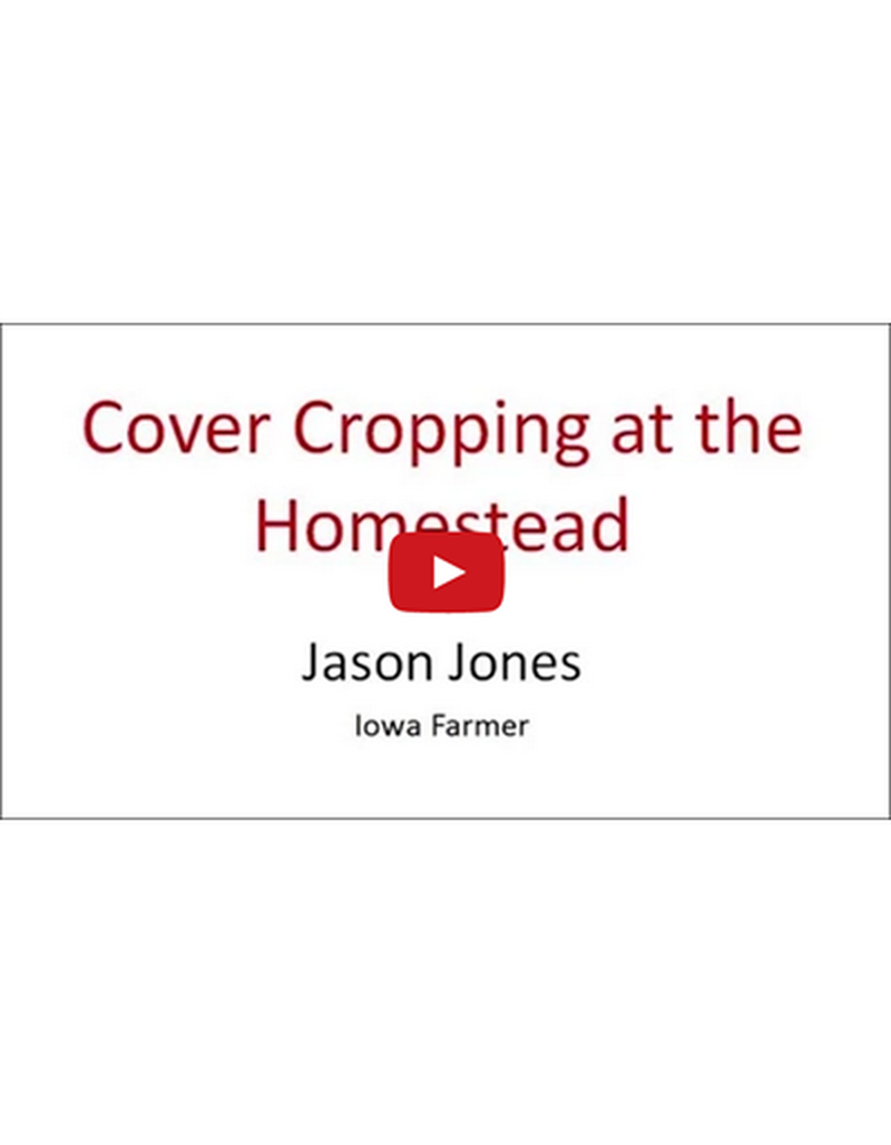 Cover Cropping at the Homestead (Video) image number 0