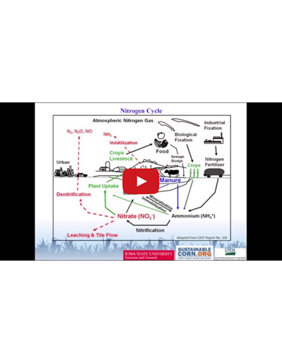 Soil Nitrogen Cycle (Video)