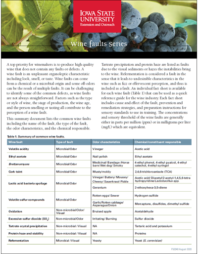 Wine Faults Series