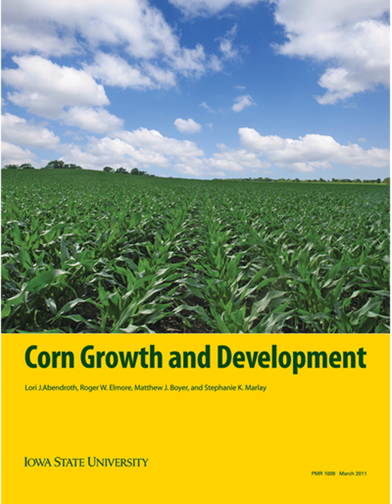Corn Growth and Development image number 0