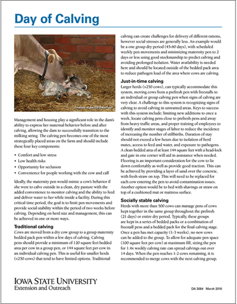Day of Calving image number 0