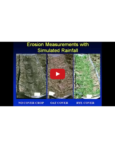 Cover Crop Selection and Management Part 1 of 3 (Video)