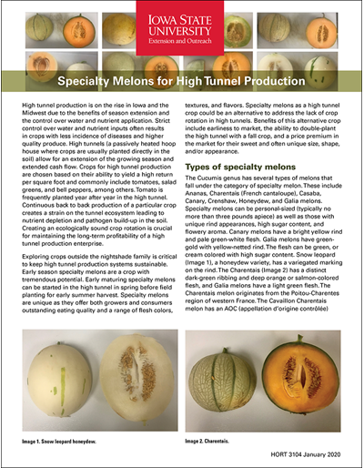 Specialty Melons for High Tunnel Production