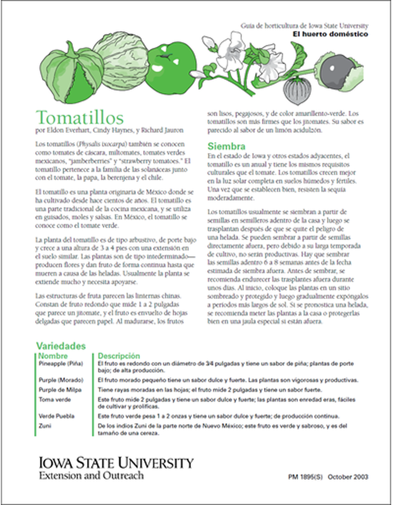 Tomatillos image number 2