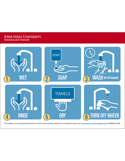Wash Your Hands