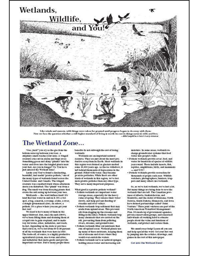 Wetlands, Wildlife and You