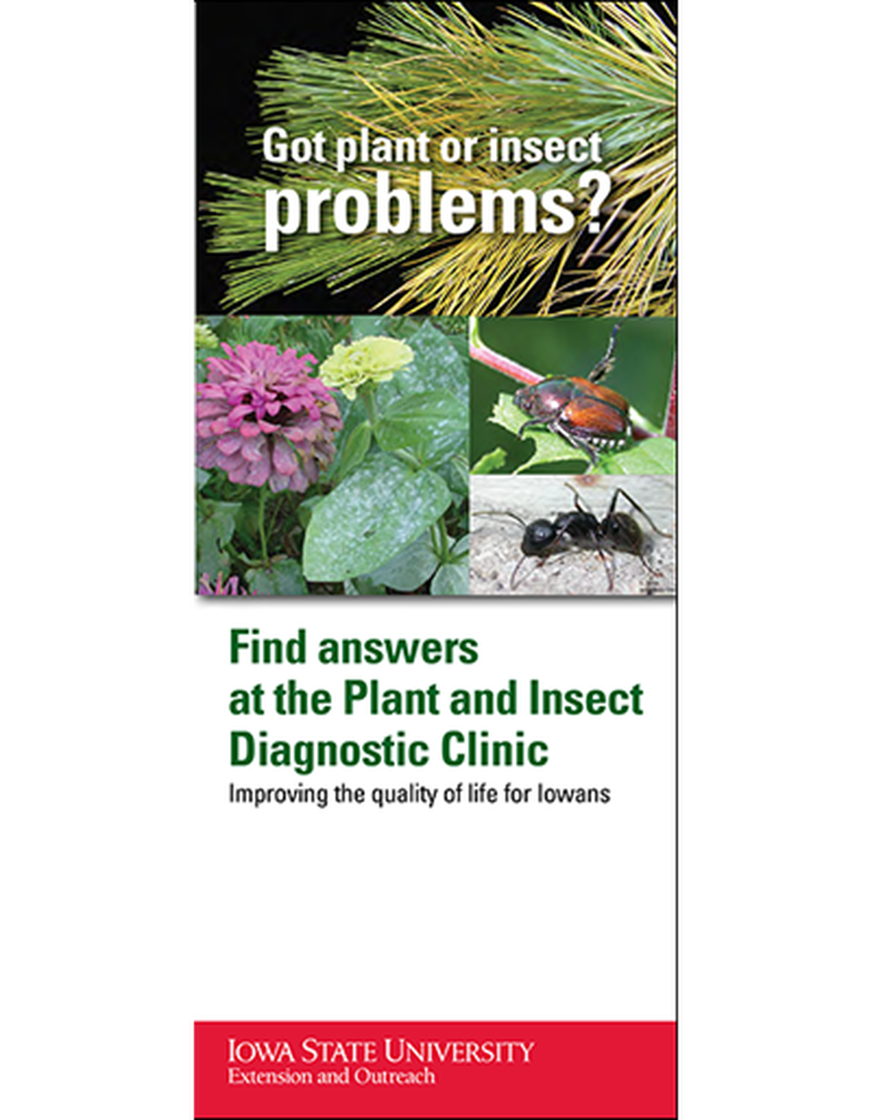 Got Plant or Insect Problems? image number 0