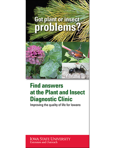 Got Plant or Insect Problems?