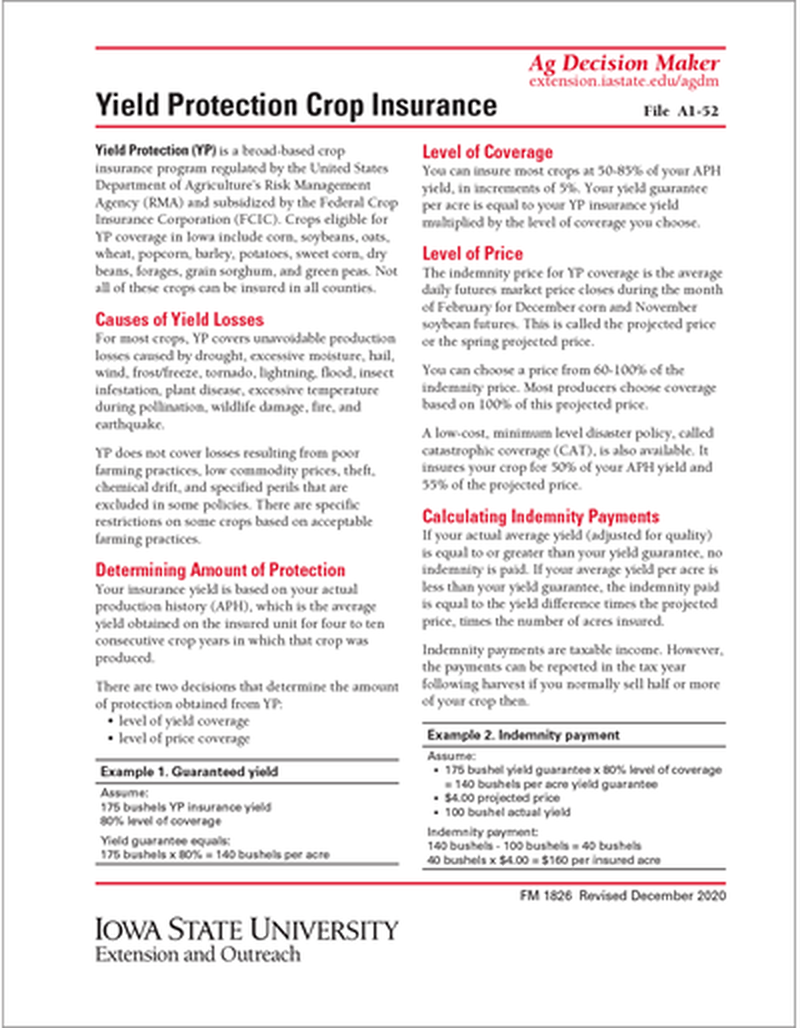 Yield Protection Crop Insurance image number 0