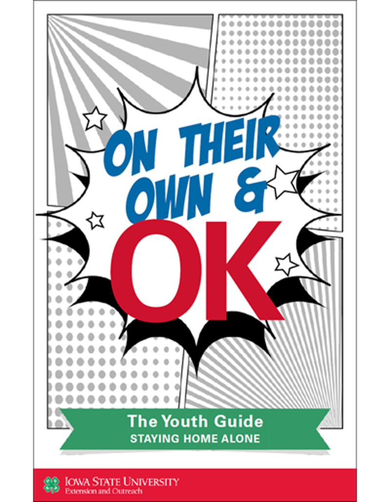 On Their Own and OK - The Youth Guide image number 0
