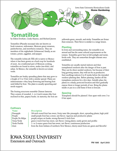 Tomatillos