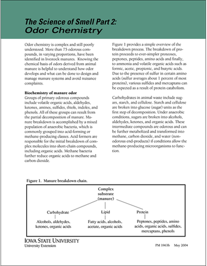 Odor Chemistry -- The Science of Smell Part 2 image number 0