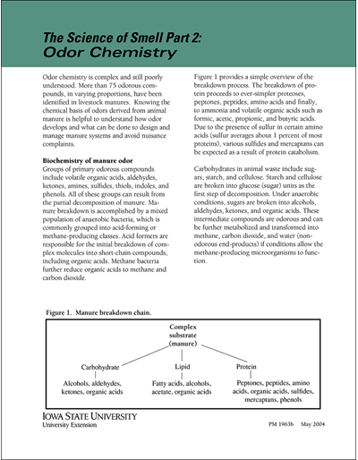 Odor Chemistry -- The Science of Smell Part 2