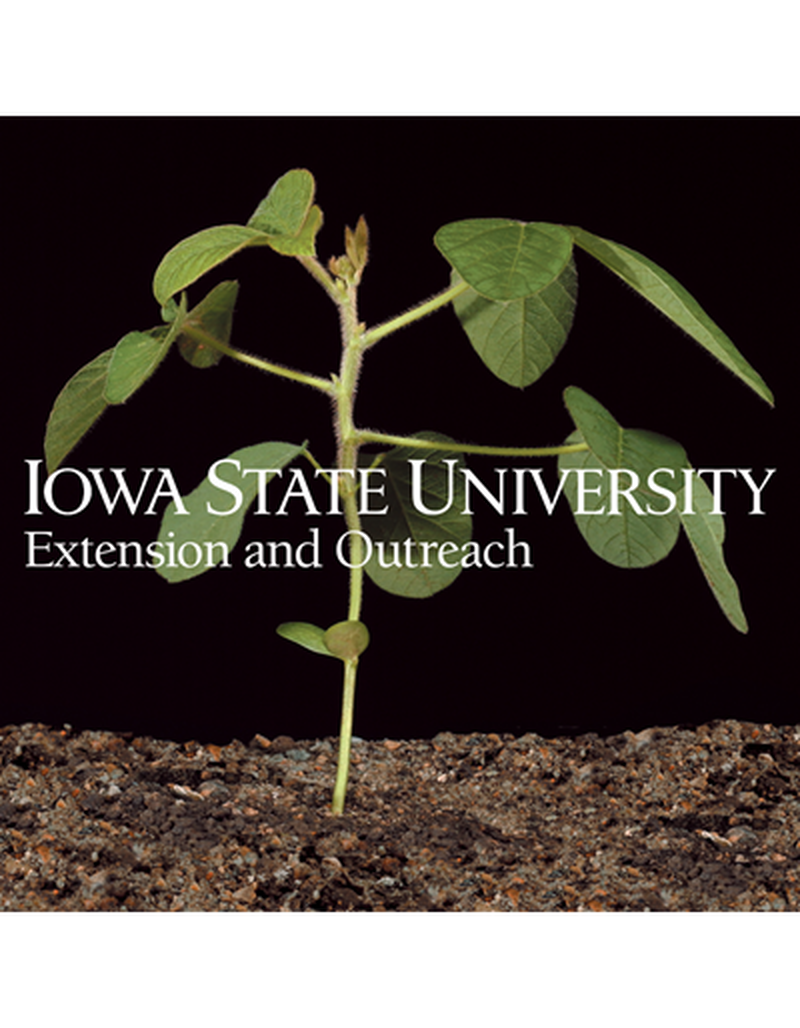 V4 plant - Soybean image number 0