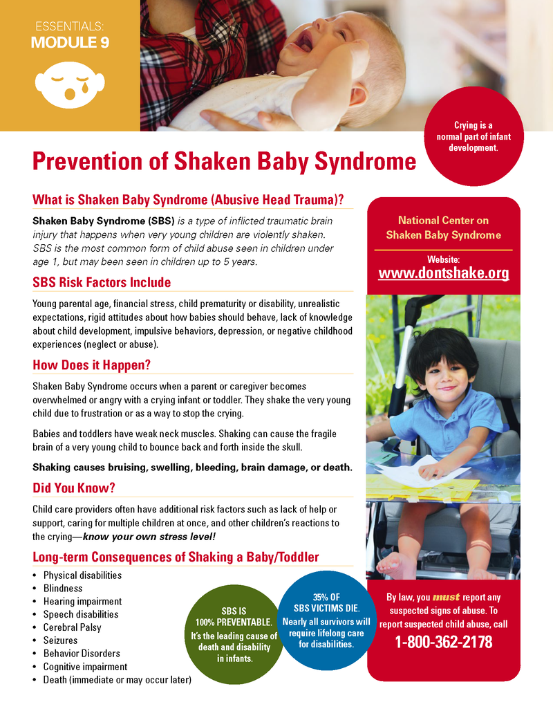 Prevention of Shaken Baby Syndrome - Essentials Child Care image number 0