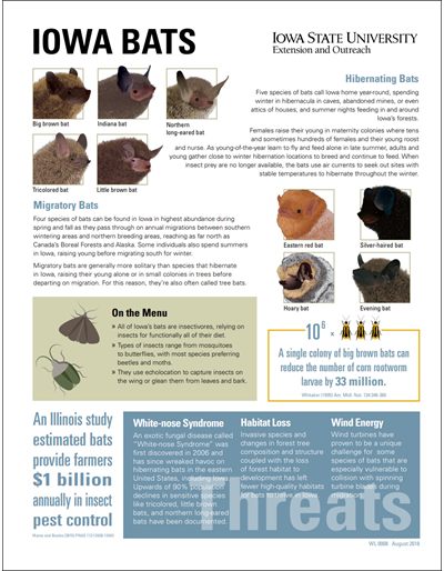Iowa Bats